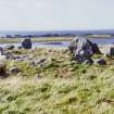 Steinacleit Stones Isle of Lewis General views