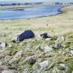 Steinacleit Stones Isle of Lewis General views