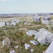 Steinacleit Stones Isle of Lewis General views