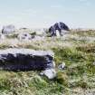 Steinacleit Stones Isle of Lewis General views