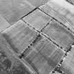 Bemersyde Moss, earthwork: air photograph.
Harding 79/010/5a, flown 1979.
