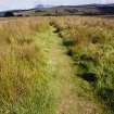 Machrie Moor Stone Circle