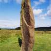 Machrie Moor Stone Circle