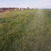 Machrie Moor Stone Circle