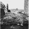 On-line Digital Images