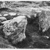 Callanish Standing Stones 