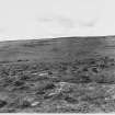 Hill 'o' Many Stanes Stone Rows, Clyth Caithness