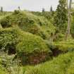 Cadzow Castle, General Survey