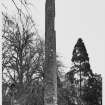 Ancrum Cross Roxburghshire, Views