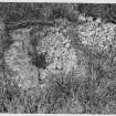 On-line Digital Images