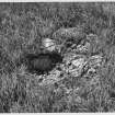 On-line Digital Images