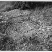 On-line Digital Images