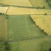 Newstead, Roman fort and temporary camps: oblique aerial photograph showing annexe (NT 571 343).

