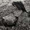 Views of Damaged Standing Stone Clachan Mor, Dowally, Perthshire