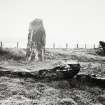 Views of Damaged Standing Stone Clachan Mor, Dowally, Perthshire