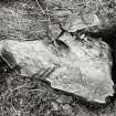 Views of Damaged Standing Stone Clachan Mor, Dowally, Perthshire