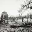 Views of Damaged Standing Stone Clachan Mor, Dowally, Perthshire