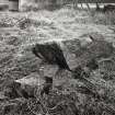 Views of Damaged Standing Stone Clachan Mor, Dowally, Perthshire