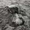 Views of Damaged Standing Stone Clachan Mor, Dowally, Perthshire