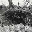 Black Hill, Hill Fort, Lanarkshire.  Gen Views Details of Structure Extent of Quarrying