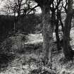 Black Hill, Hill Fort, Lanarkshire.  Gen Views Details of Structure Extent of Quarrying