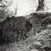 Black Hill, Hill Fort, Lanarkshire.  Gen Views Details of Structure Extent of Quarrying