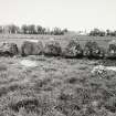 Raigmore Stone Circle Inveness General Views