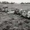 Raigmore Stone Circle Inveness General Views