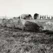 Raigmore Stone Circle Inveness General Views