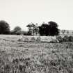 Raigmore Stone Circle Inveness General Views