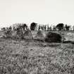 Raigmore Stone Circle Inveness General Views