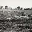 Raigmore Stone Circle Inveness General Views