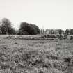 Raigmore Stone Circle Inveness General Views