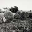 Raigmore Stone Circle Inveness General Views