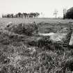 Raigmore Stone Circle Inveness General Views