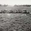 Raigmore Stone Circle Inveness General Views