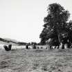 Croft Moraig Stone Circle,Aberfeldy