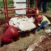 Dupplin Cross Removal from Site CH 29+30 Jun 1998