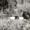 On-line Digital Images