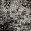 On-line Digital Images