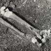 Whithorn Priory Wigtownshire, Excavations