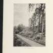 Estates Exchange. Drumtochty With Glenfarquhar and Dellavaird. No. 1505. Sale brochure.

