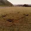 Holyrood Park Hunters Bog + Ground Damage