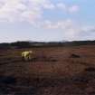 Monitored topsoil strip, Working shot, Phase 1, Mountcastle Quarry, Letham