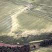 Aerial view of field W of Tarradale House, Tarradale, Ross-shire, looking SW.