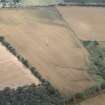 Aerial view of Crow Wood ring ditch cropmark, Muir of Ord, Easter Ross, looking SW.