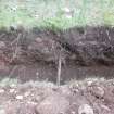 Watching brief photograph, Direction facing S, N facing section of trench, Yardheads and Cables Wynd, Leith