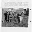 Photographs and research notes relating to graveyard monuments in Kilchousland Churchyard, Argyllshire and Bute. 
