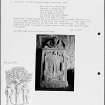 Photographs and research notes relating to graveyard monuments in Dryburgh Abbey, Berwickshire.
