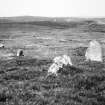 Field system, standing stones to S of 'Temple'